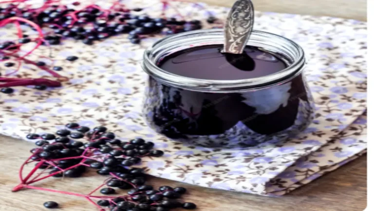 Elderberry Syrup Recipe
